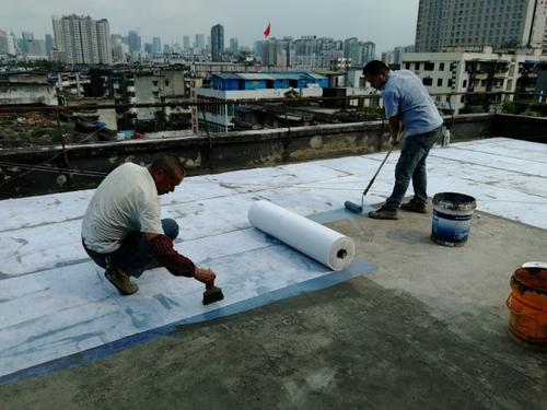鋅仰EPO防水涂料施工